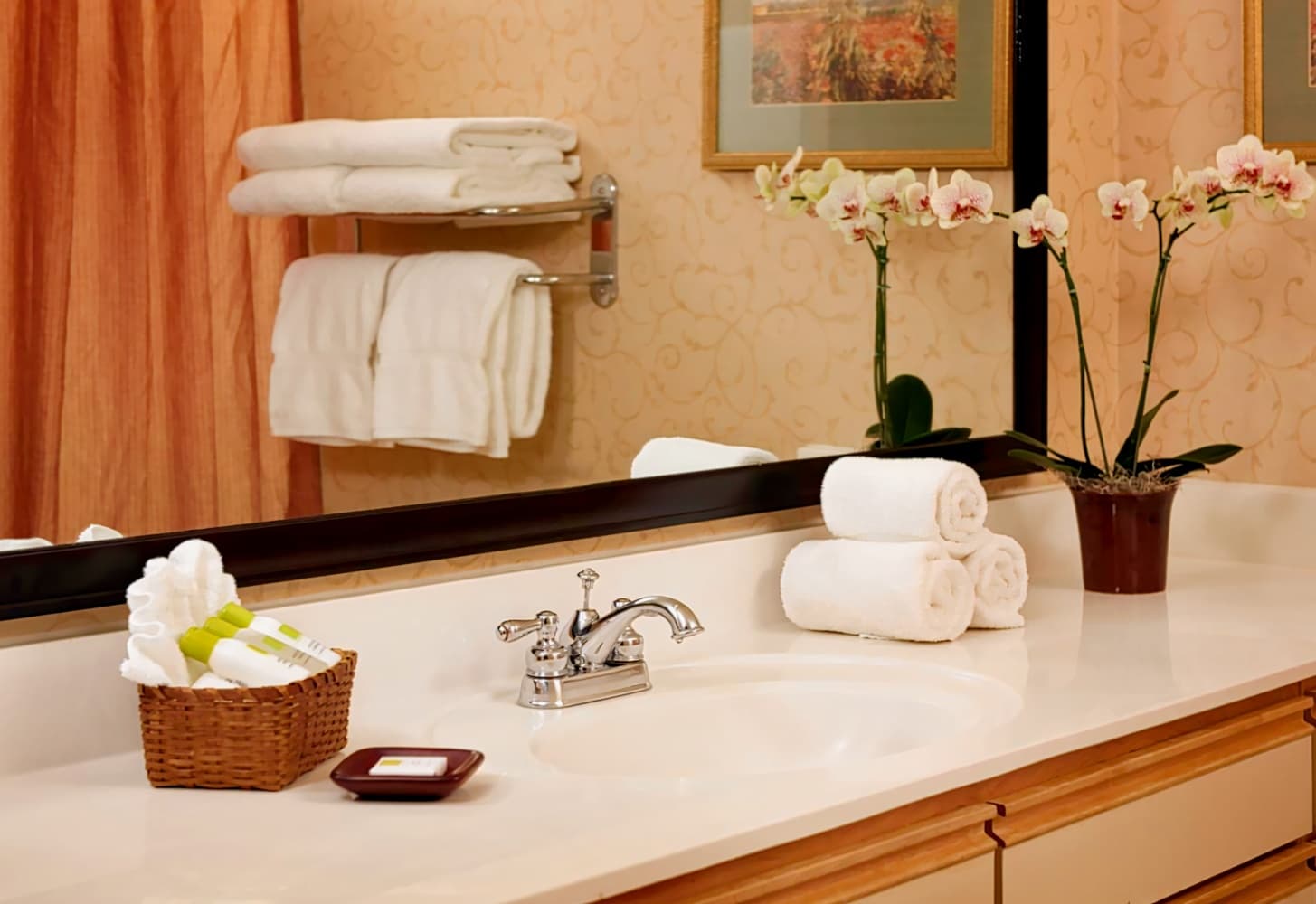 Larkspur Landing Campbell