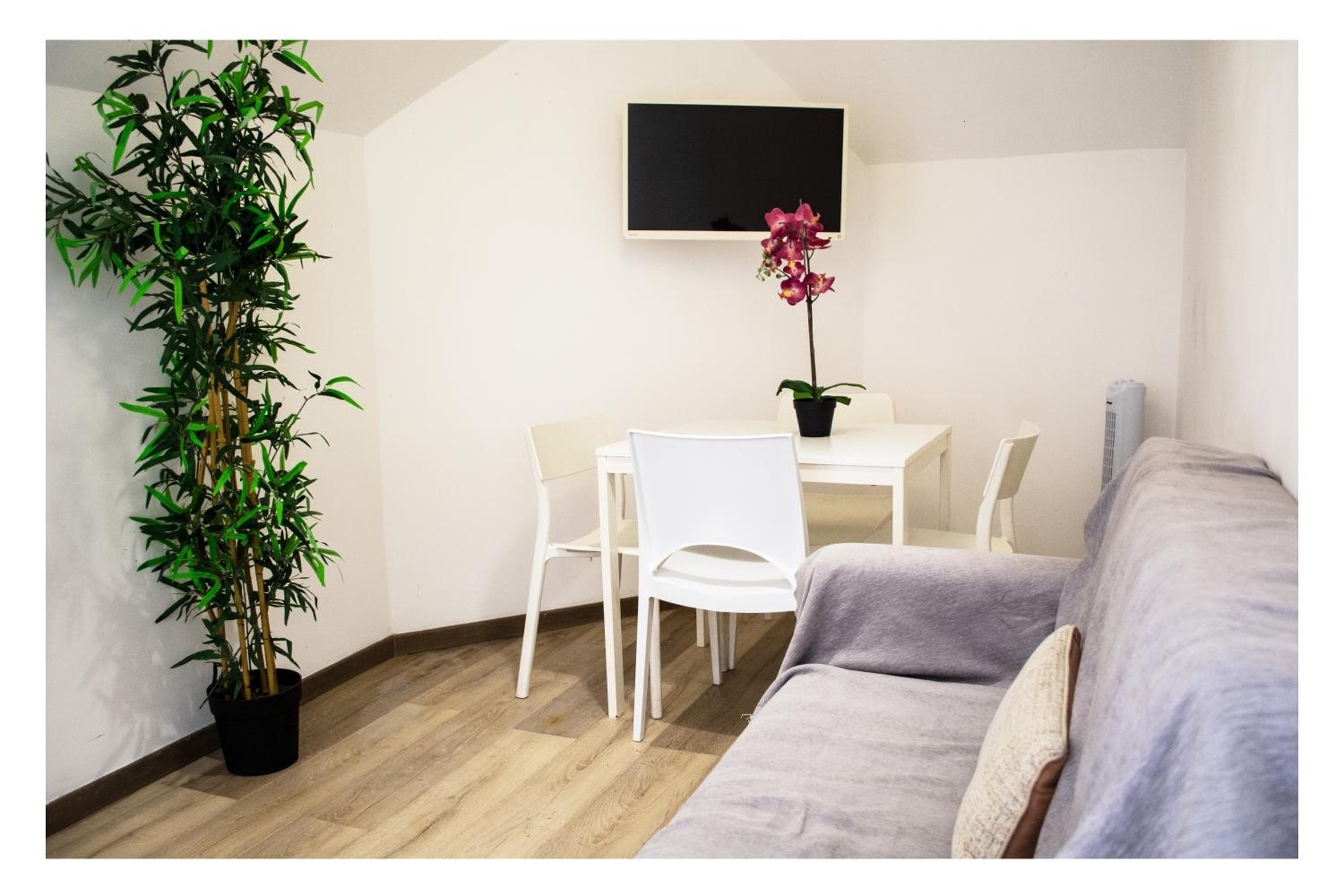 Ostia Holiday Collection